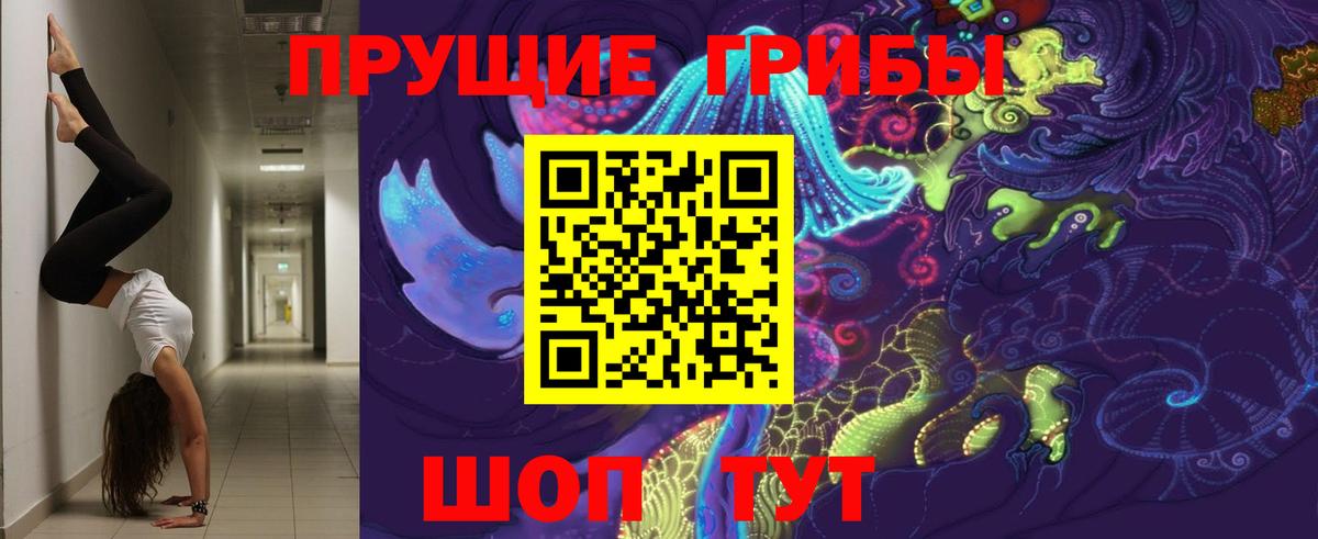 Зеленодольск  Псилоцибиновые грибы прущие грибы  Вход с VPN  Псилоцибиновые грибы Psilocybine cubensis 